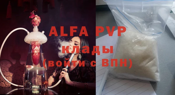 сатива Баксан