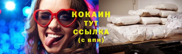 сатива Баксан