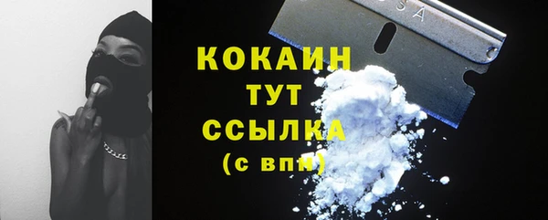 сатива Баксан