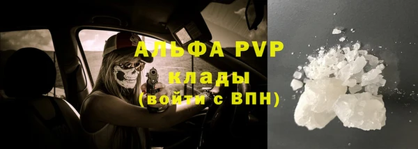PSILOCYBIN Белокуриха