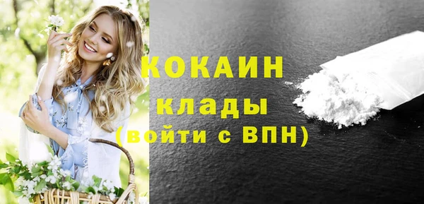 PSILOCYBIN Белокуриха
