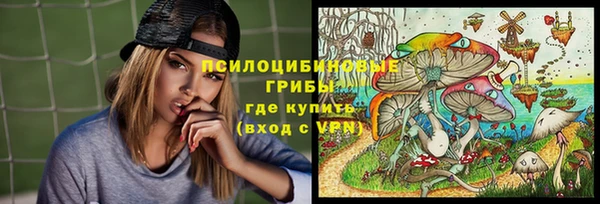 стаф Балахна