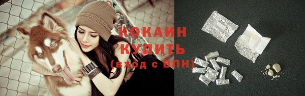 PSILOCYBIN Белокуриха