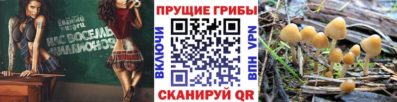 Галлюциногенные грибы ЛСД  Белогорск 