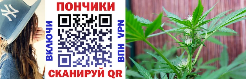 Бошки марихуана Bruce Banner  Белогорск 